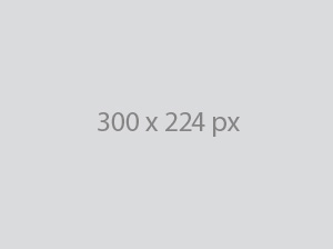 Portfolio item 1