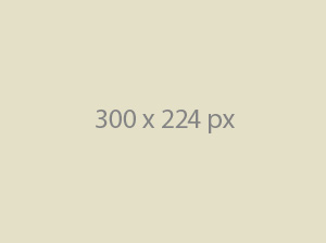 Portfolio item 3