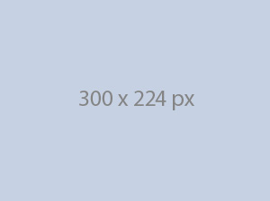 Portfolio item 6