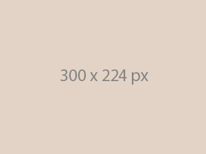 Portfolio item 7