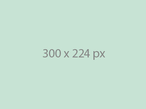 Portfolio item 9