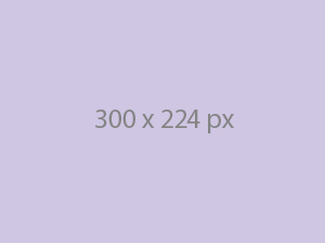 Portfolio item 11